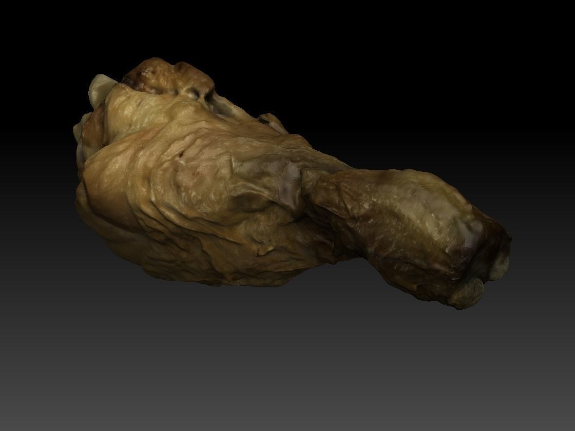 Chicken Drumstick 3D model_2