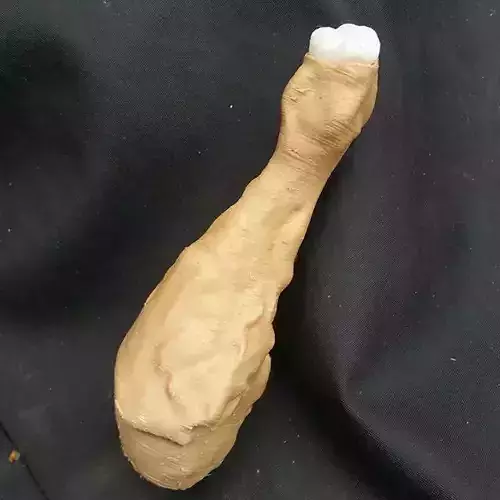 Printable Chicken Drumstick  