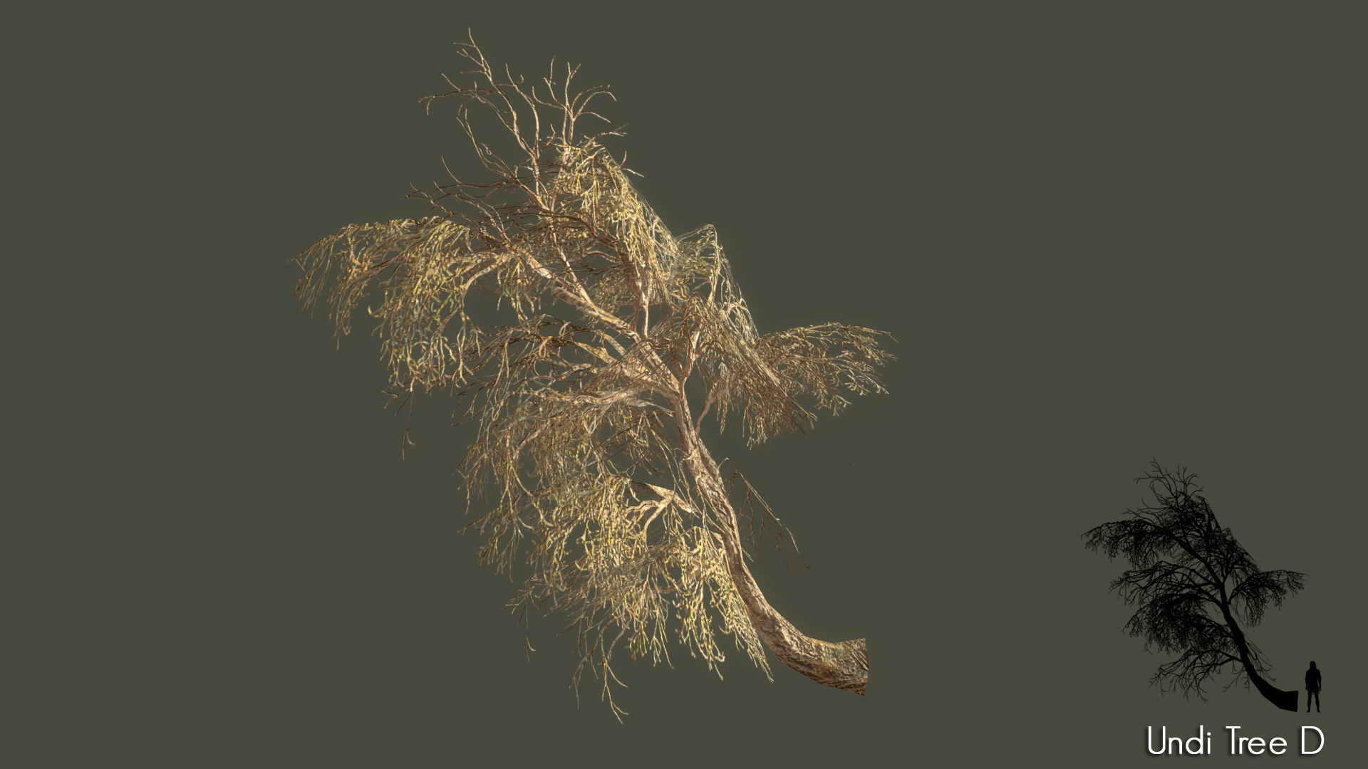 Low Poly Tree Pack Low-poly 3D model_72