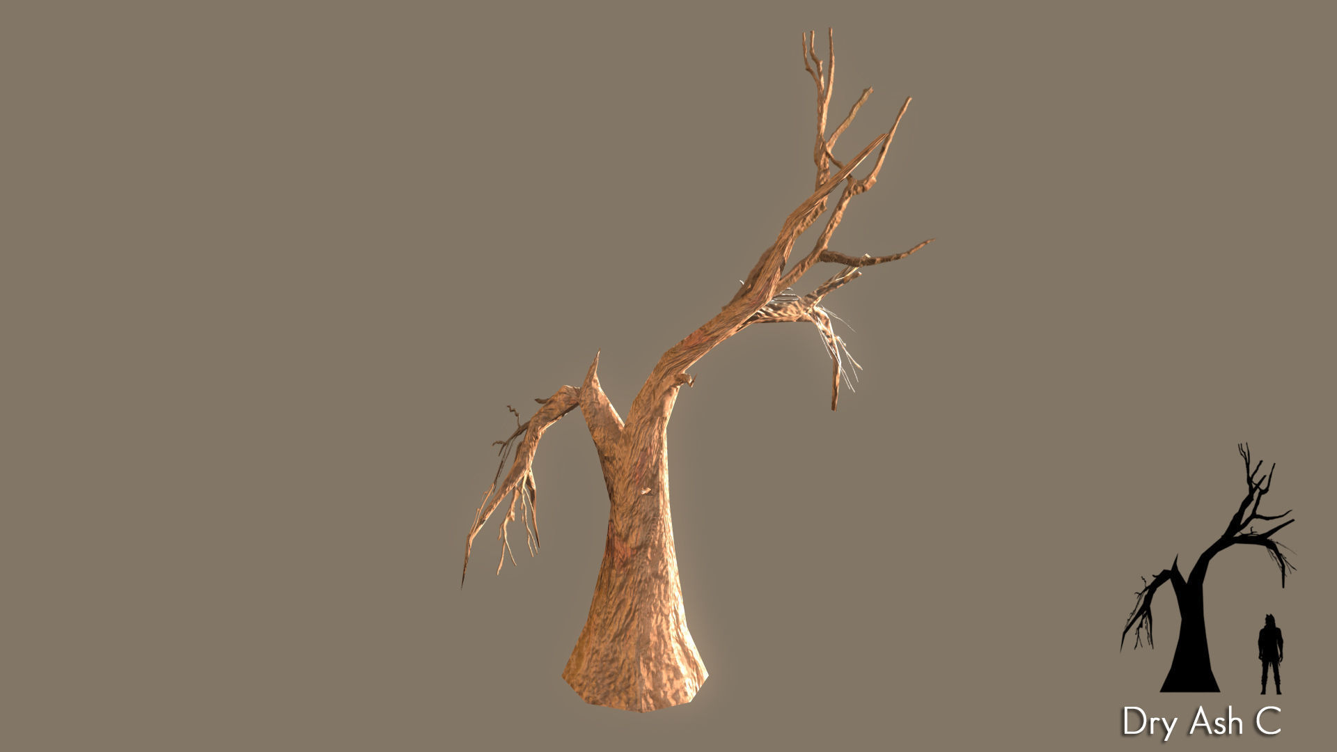 Low Poly Tree Pack Low-poly 3D model_18