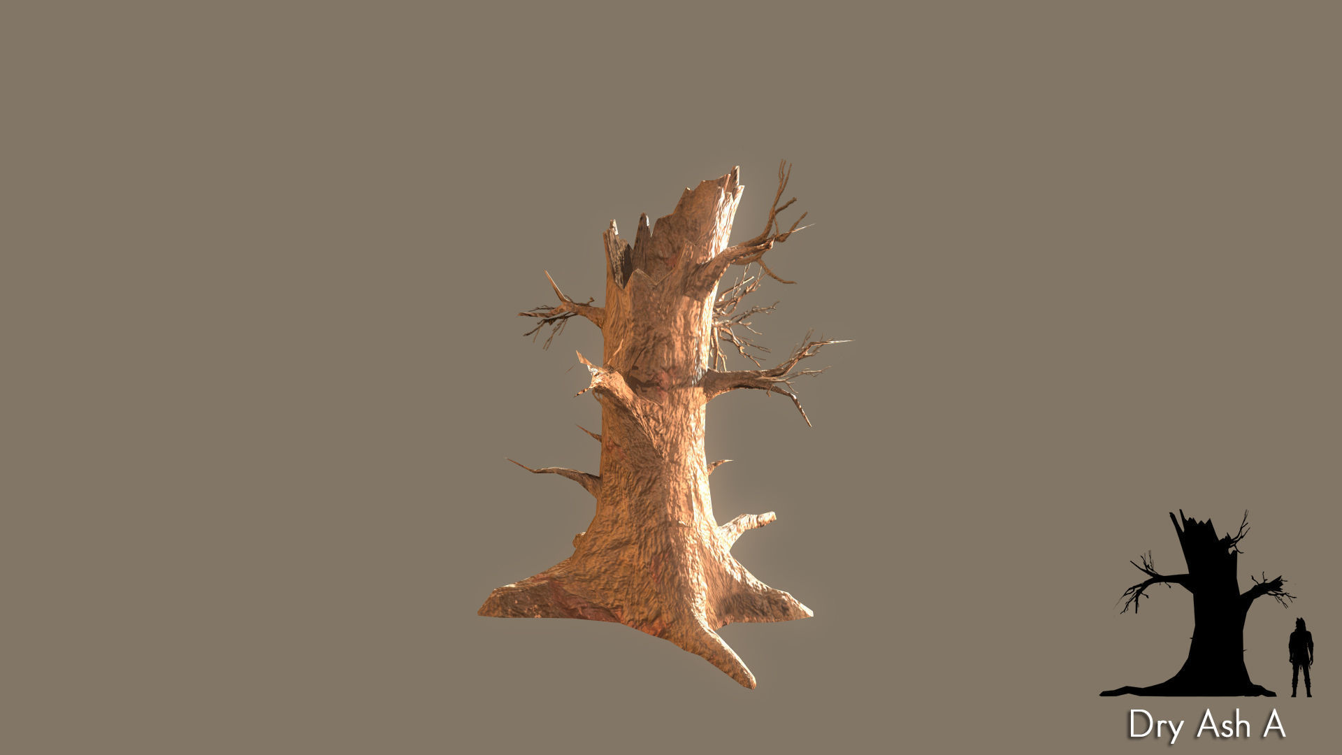 Low Poly Tree Pack Low-poly 3D model_14