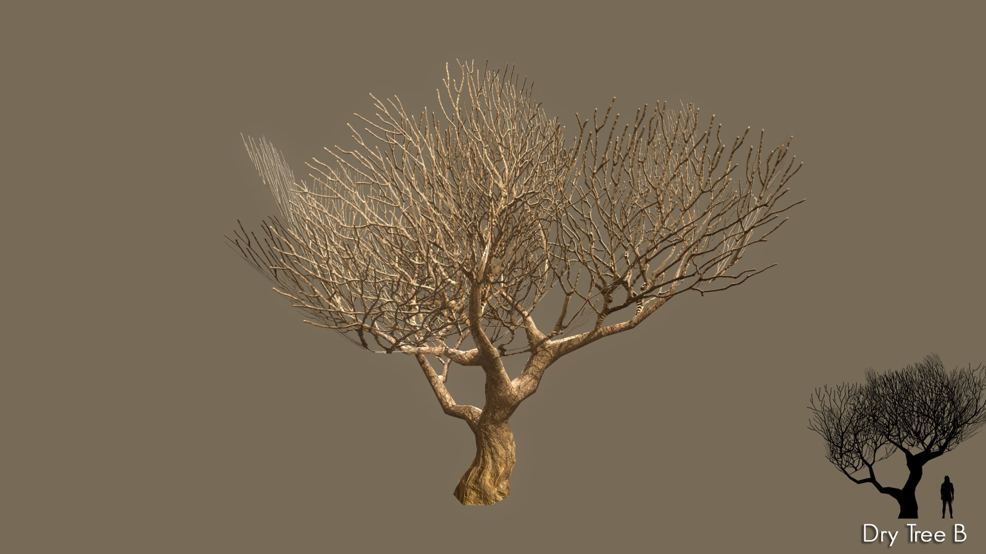 Low Poly Tree Pack Low-poly 3D model_28