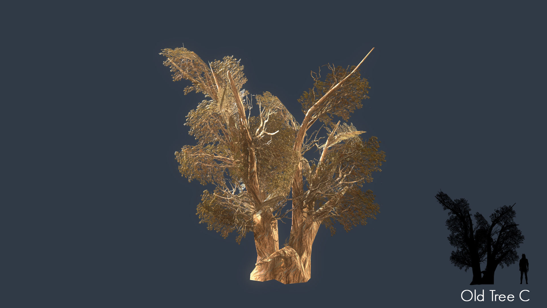 Low Poly Tree Pack Low-poly 3D model_52