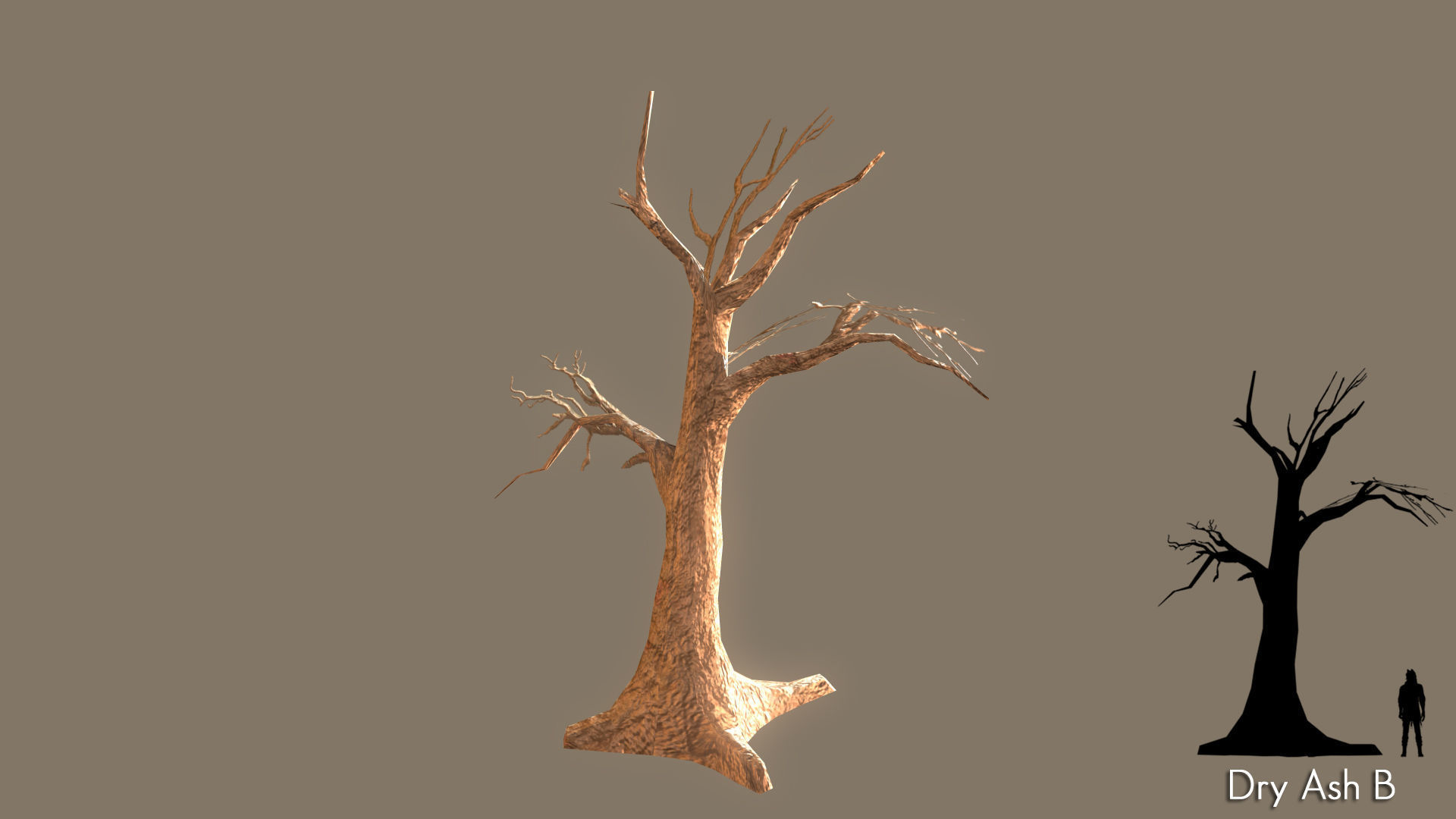 Low Poly Tree Pack Low-poly 3D model_16