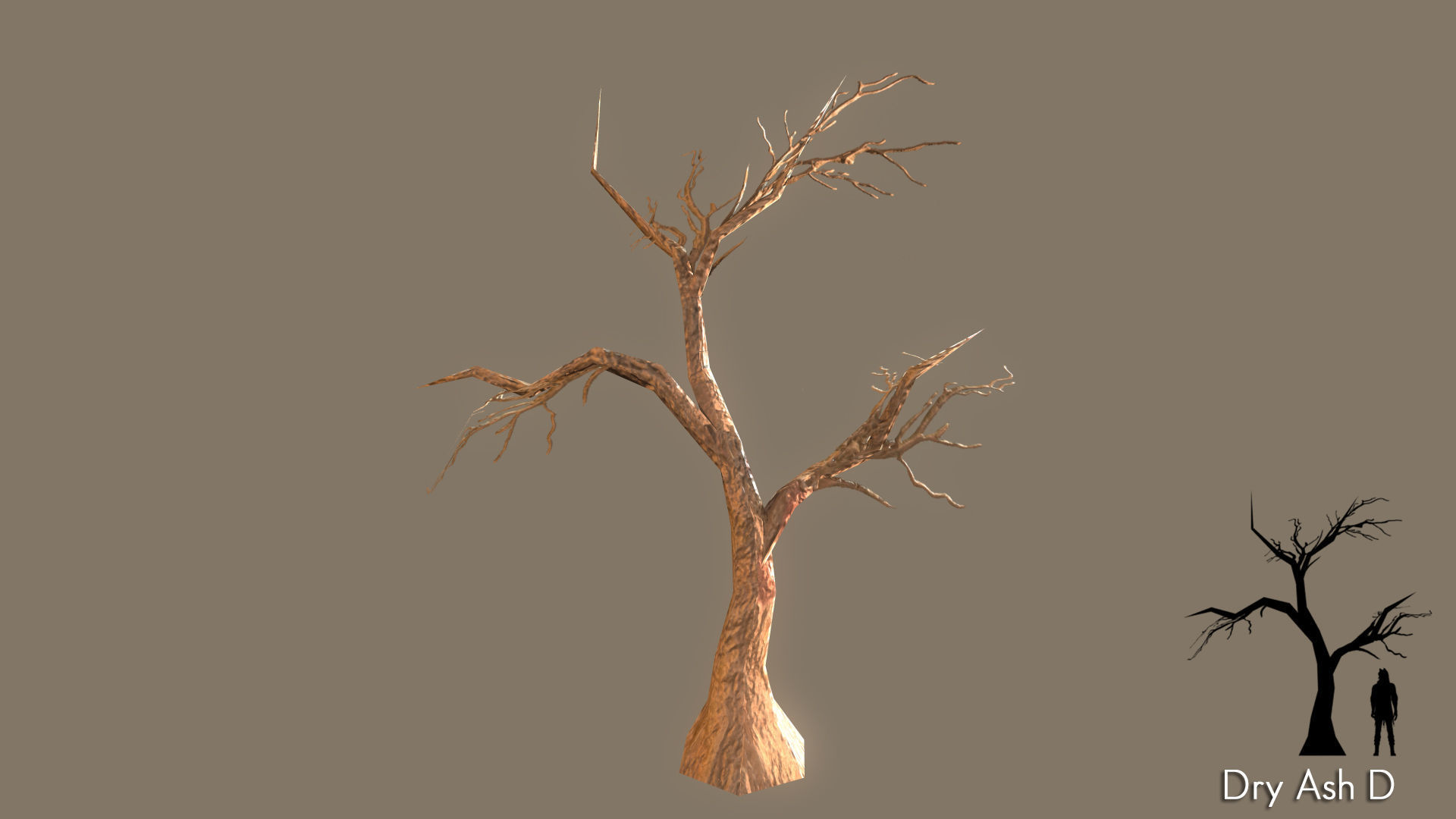 Low Poly Tree Pack Low-poly 3D model_20