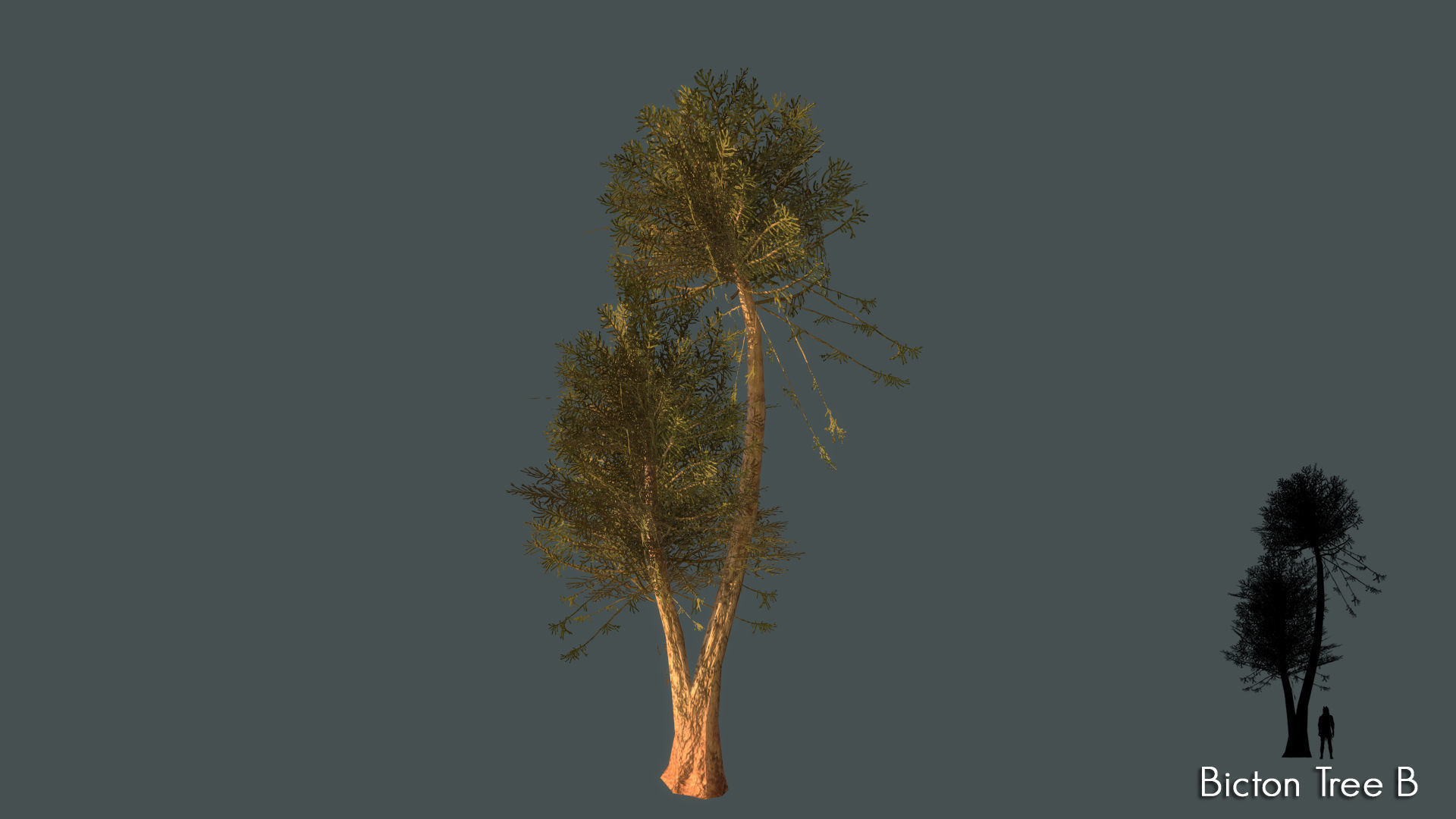 Low Poly Tree Pack Low-poly 3D model_4