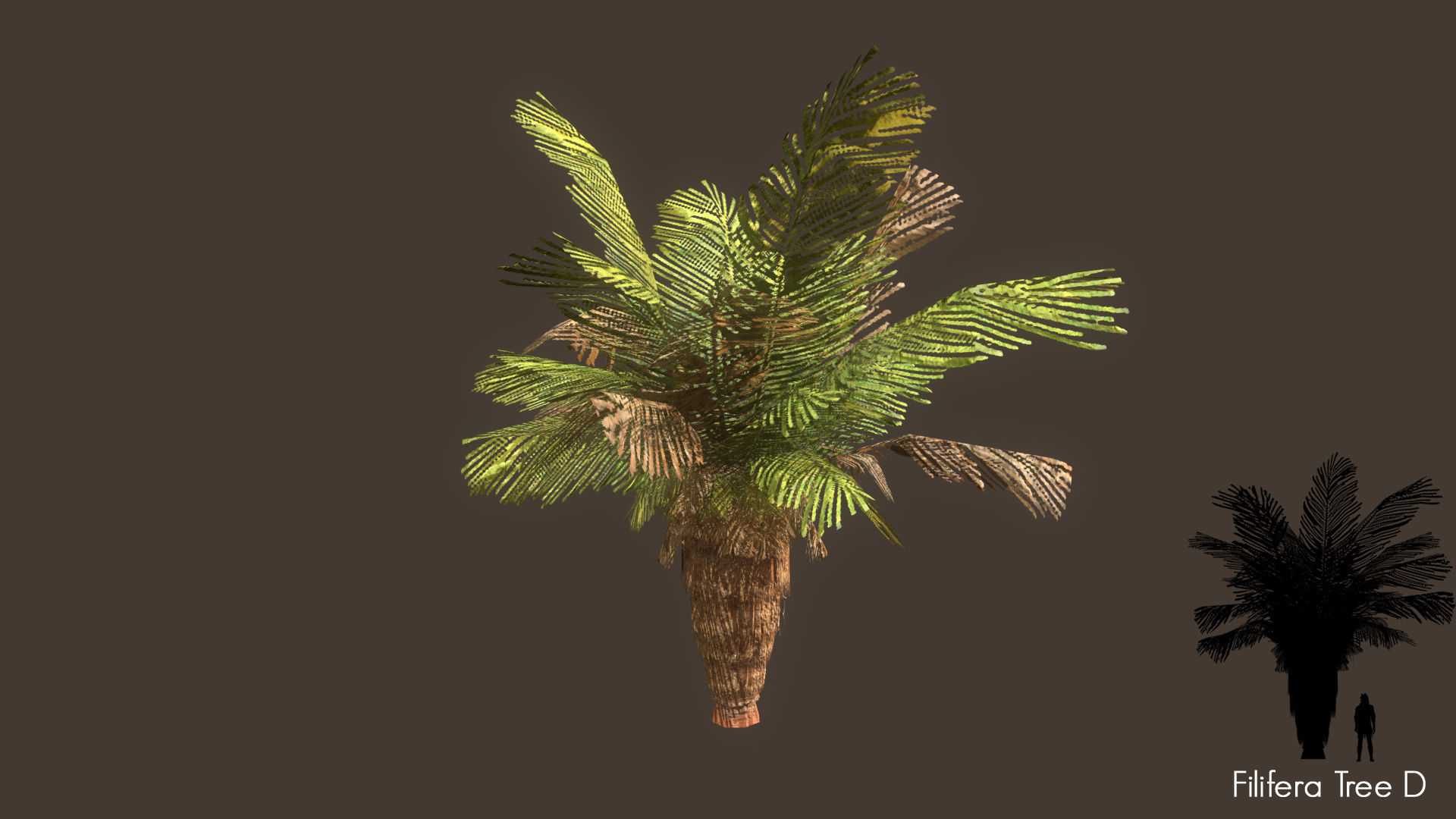 Low Poly Tree Pack Low-poly 3D model_40