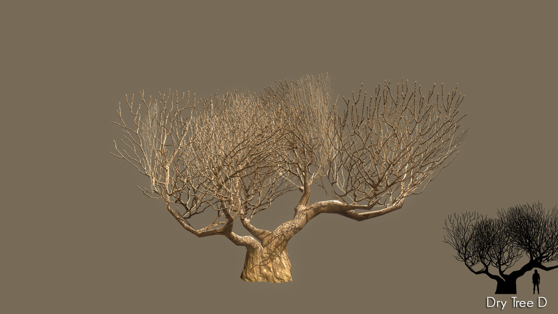 Low Poly Tree Pack Low-poly 3D model_32