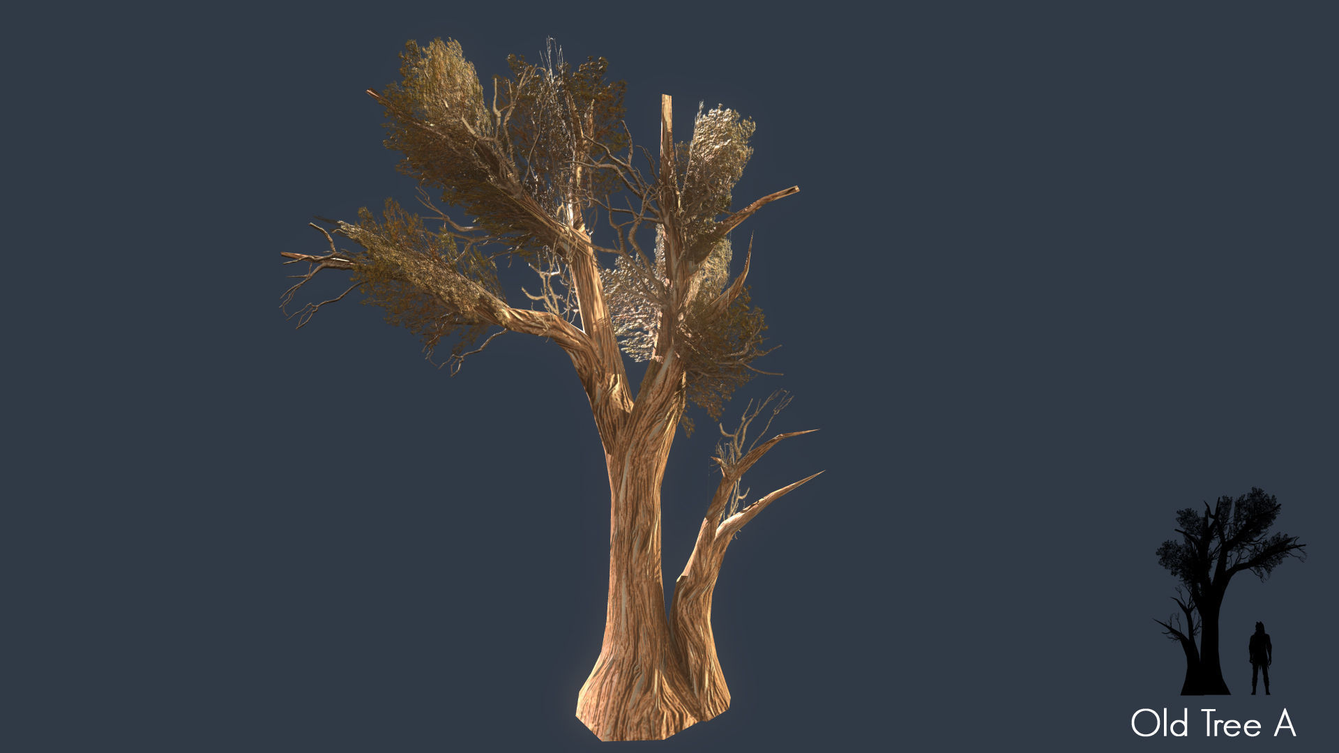 Low Poly Tree Pack Low-poly 3D model_48