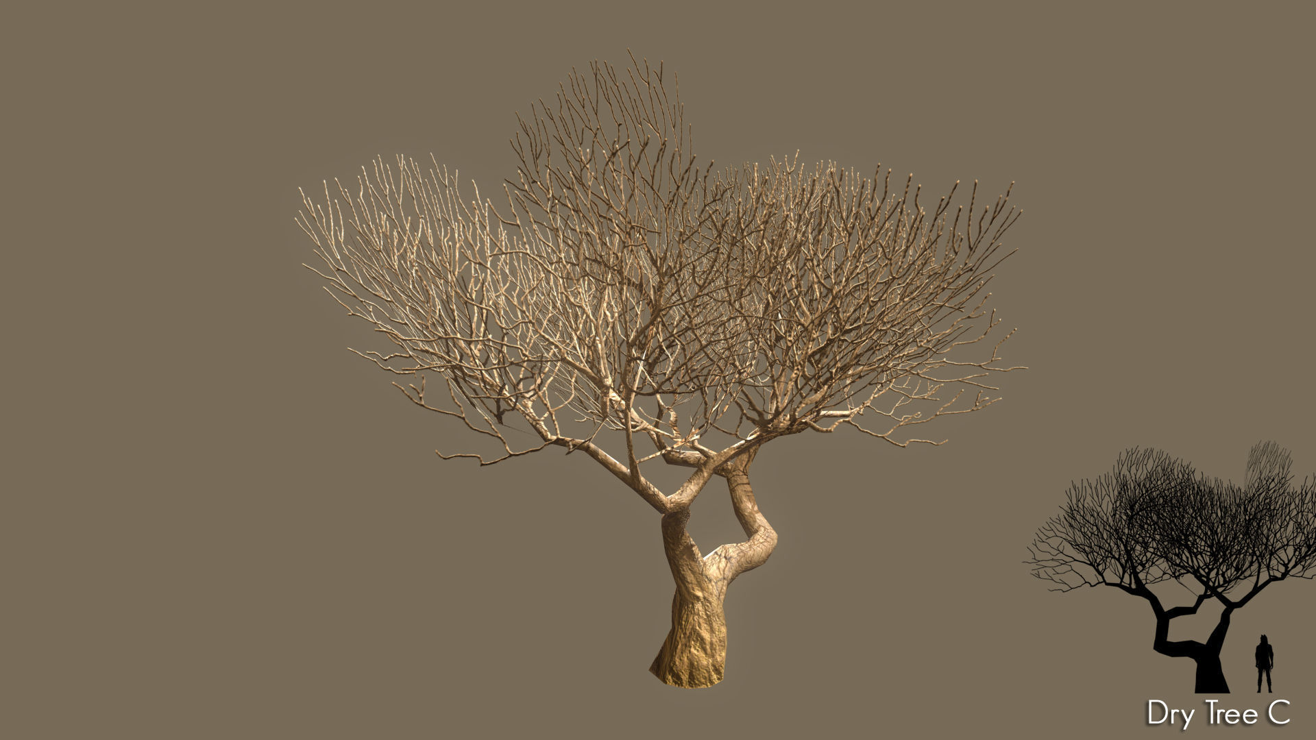 Low Poly Tree Pack Low-poly 3D model_30