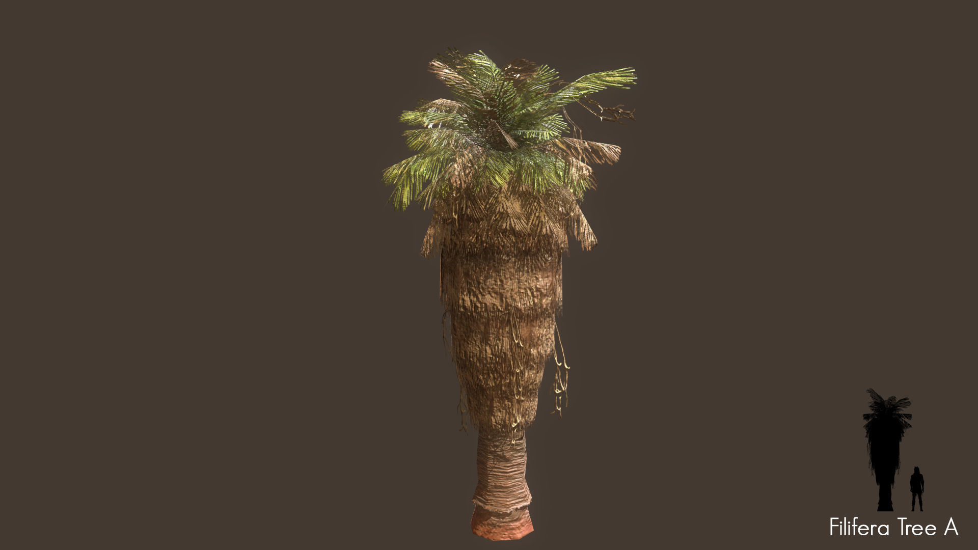 Low Poly Tree Pack Low-poly 3D model_34