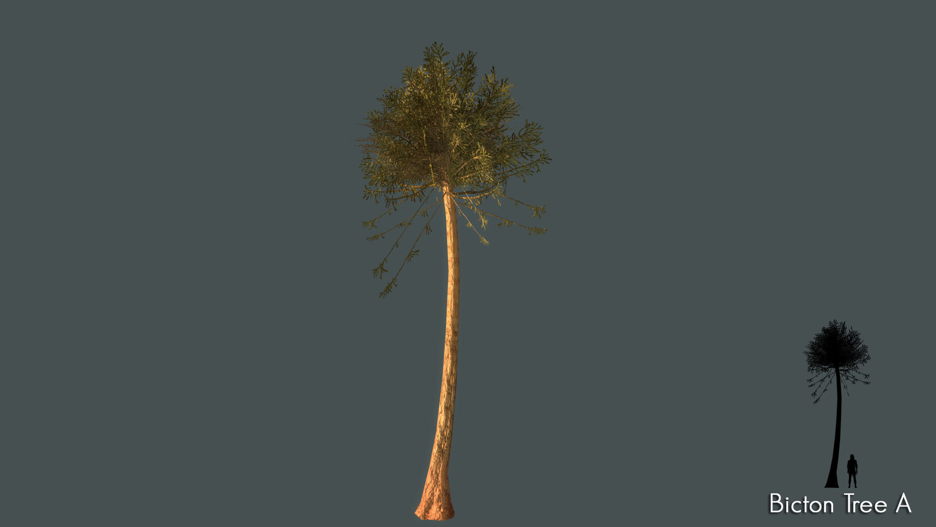 Low Poly Tree Pack Low-poly 3D model_2