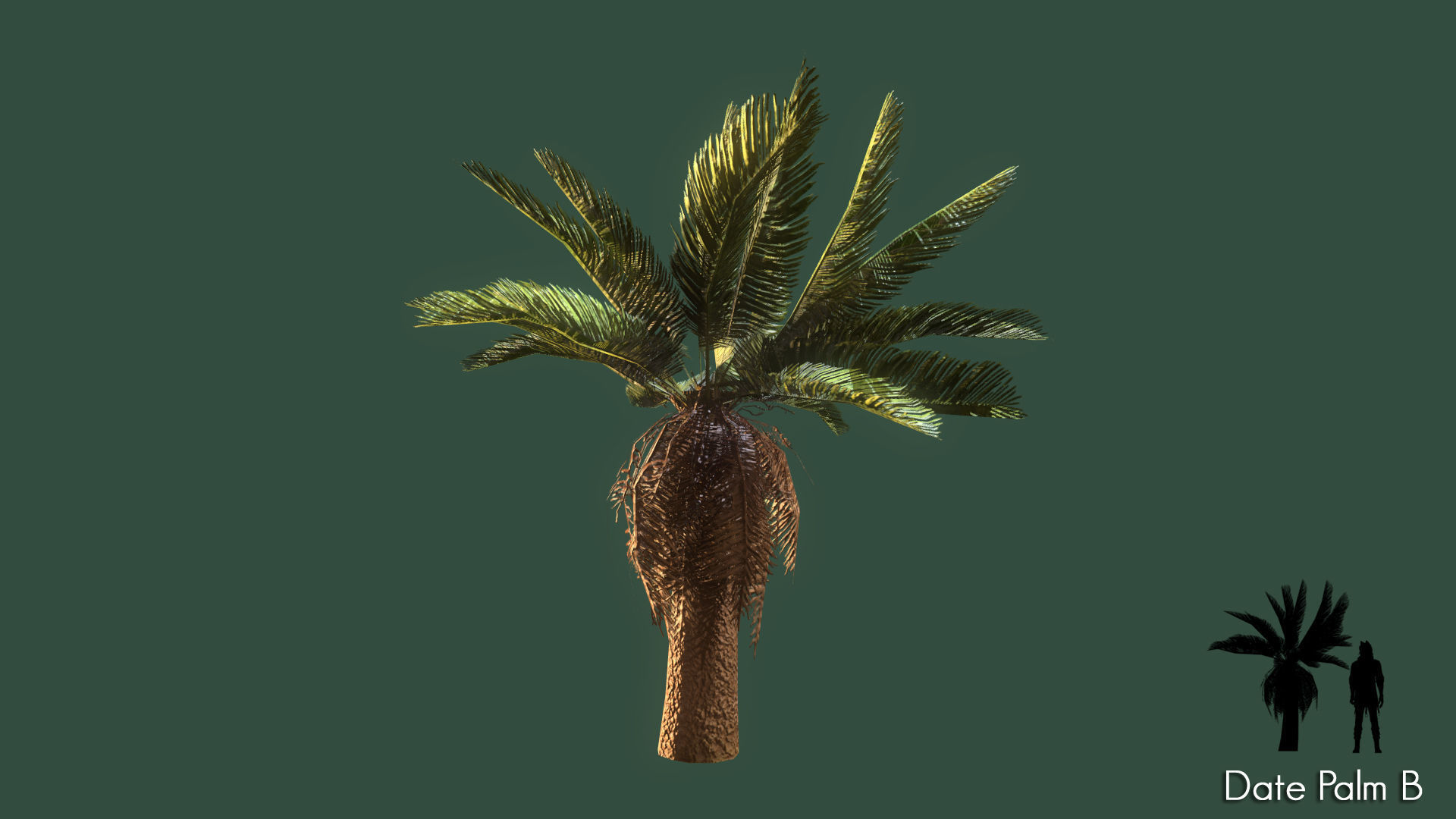 Low Poly Tree Pack Low-poly 3D model_10