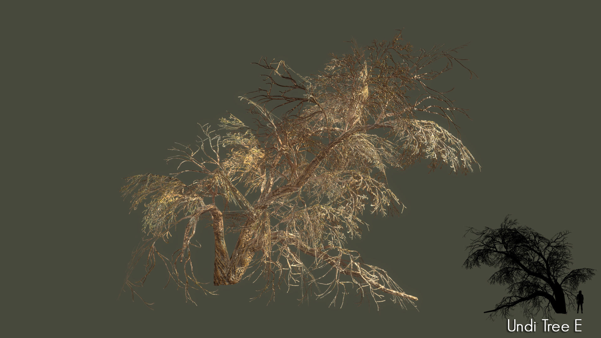 Low Poly Tree Pack Low-poly 3D model_74