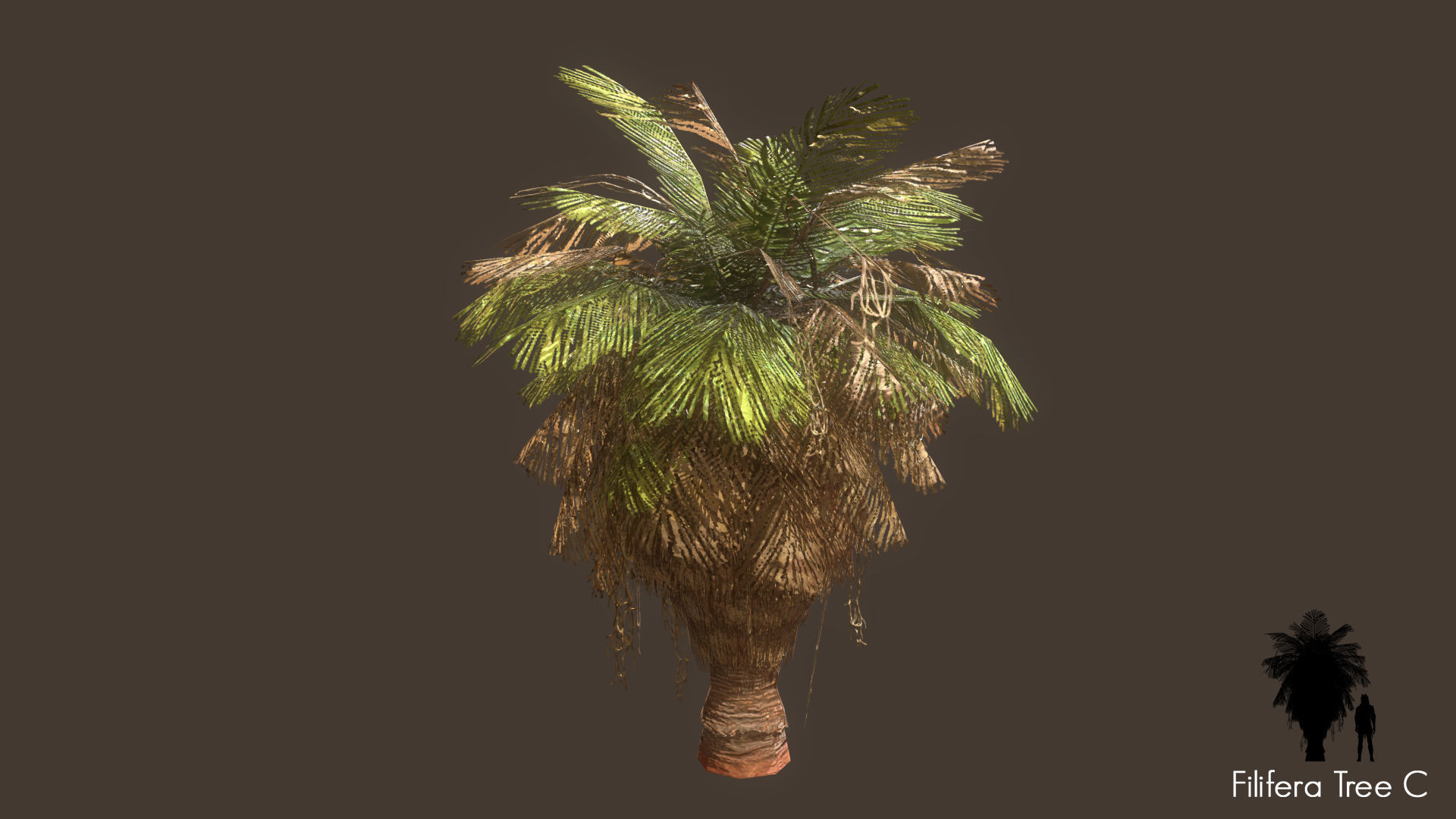 Low Poly Tree Pack Low-poly 3D model_38