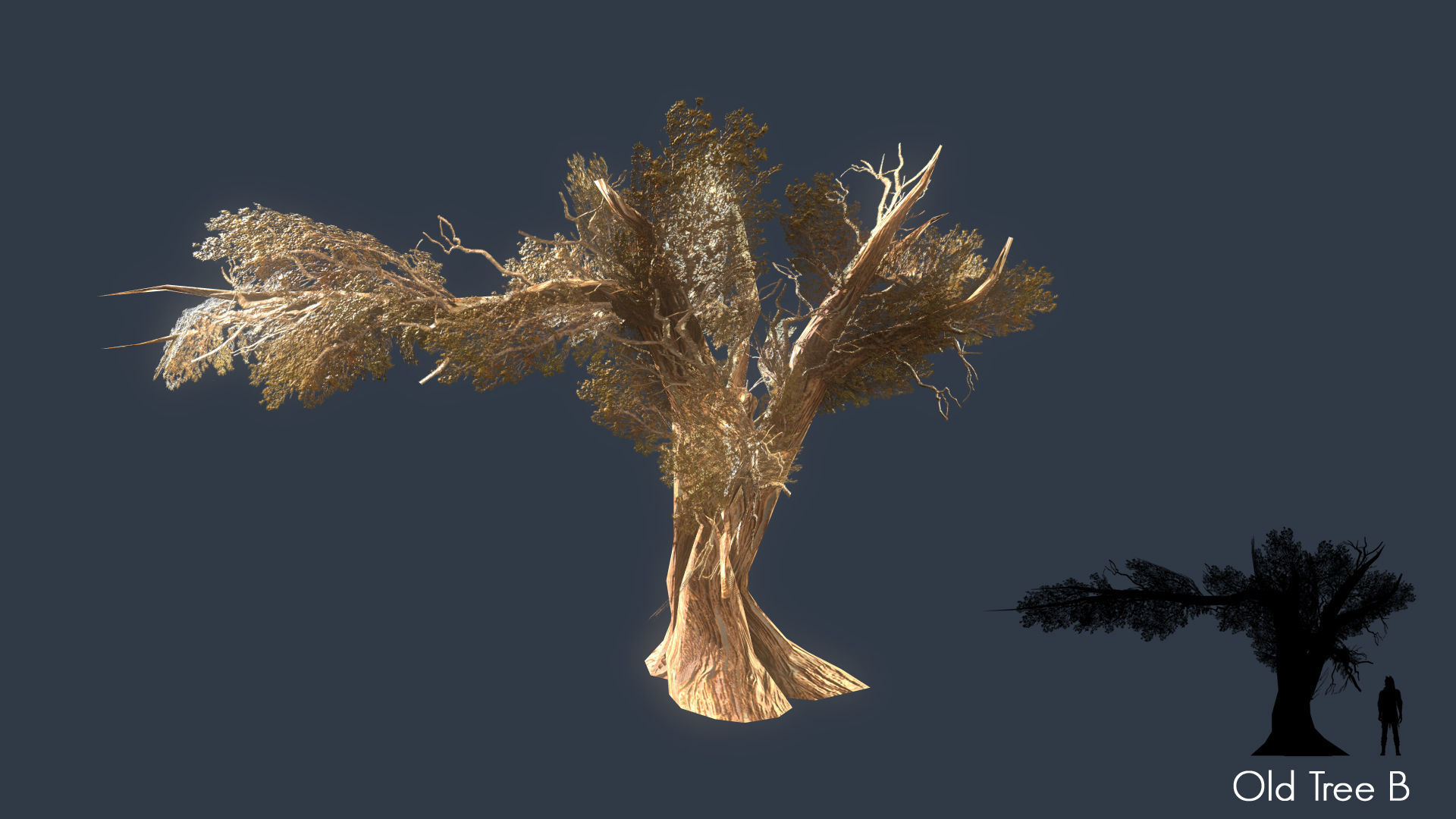 Low Poly Tree Pack Low-poly 3D model_50