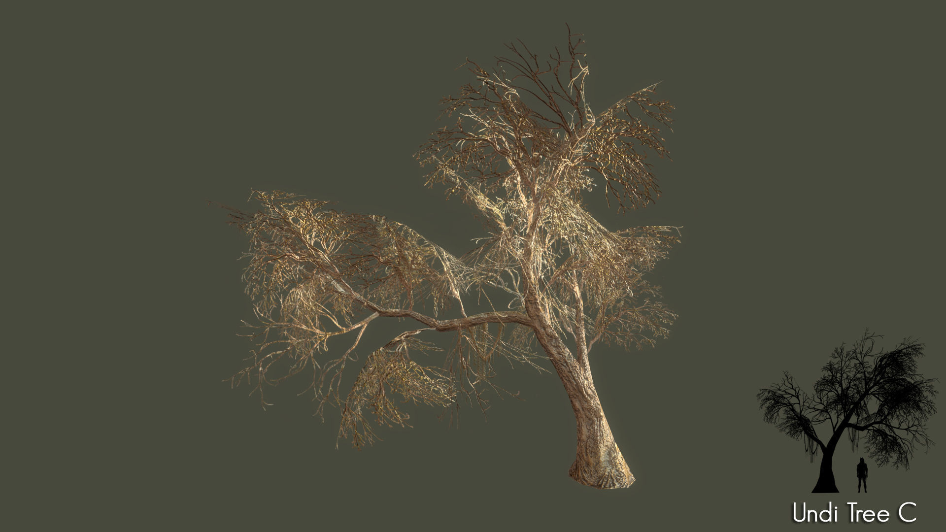 Low Poly Tree Pack Low-poly 3D model_70