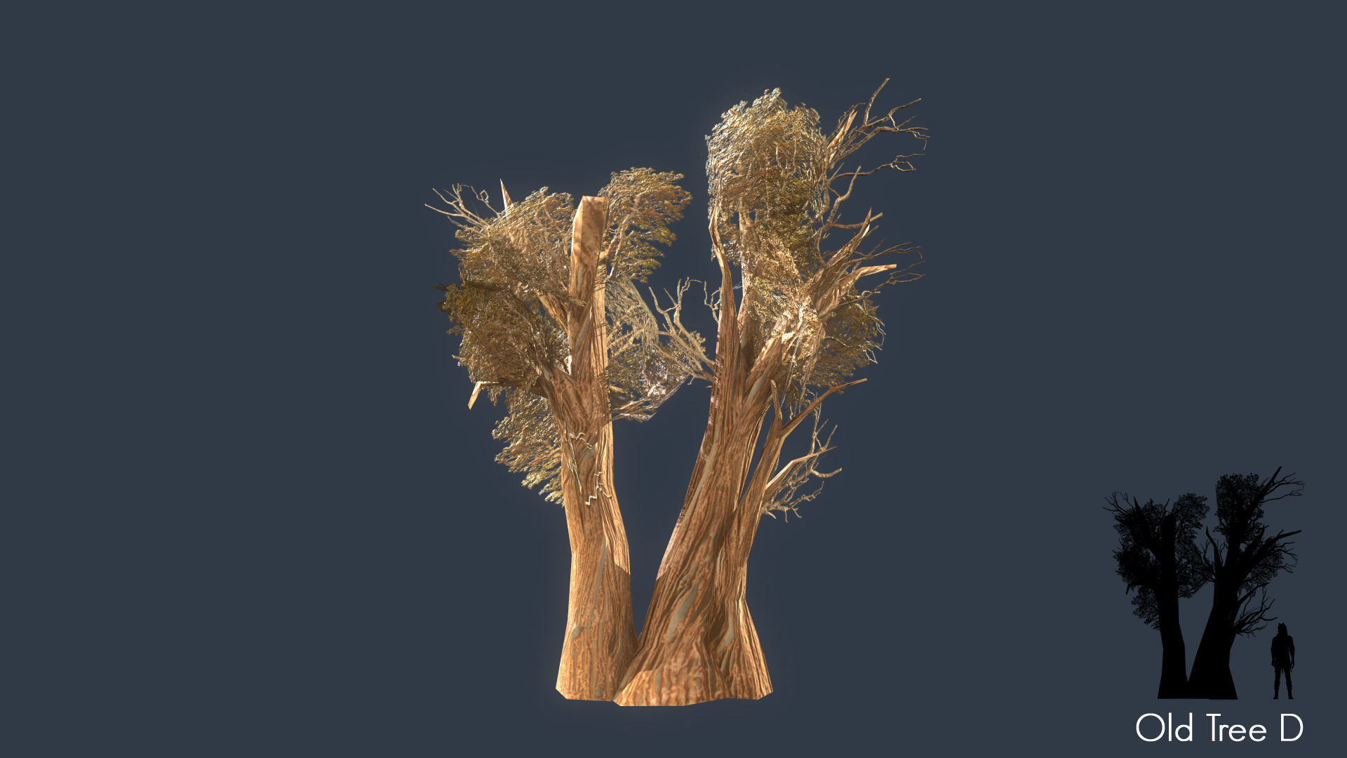 Low Poly Tree Pack Low-poly 3D model_54