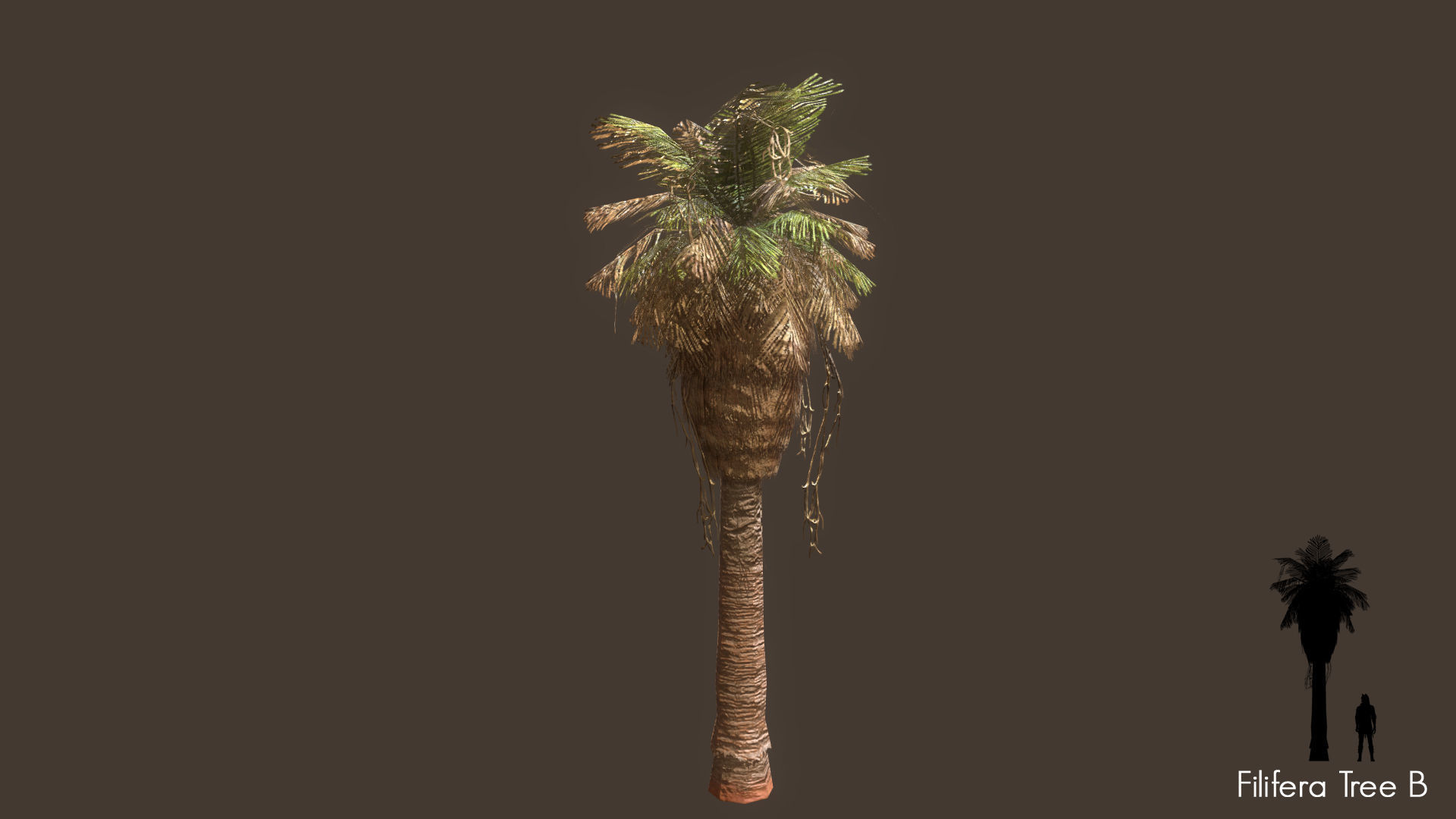 Low Poly Tree Pack Low-poly 3D model_36