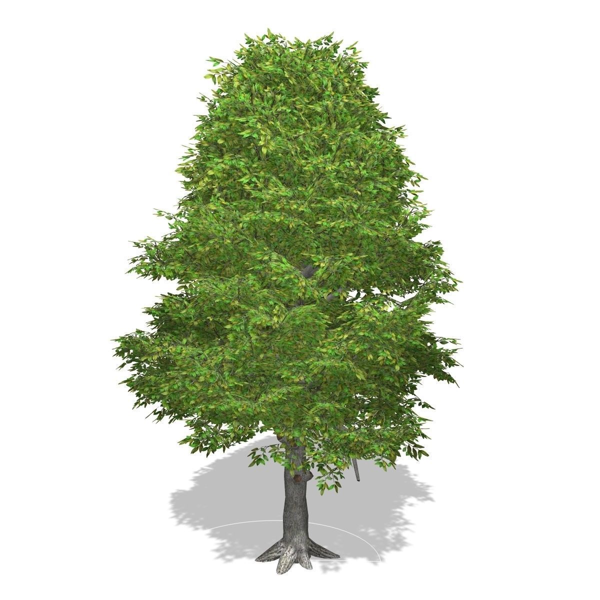 Tree - 00015 Low-poly  3D model