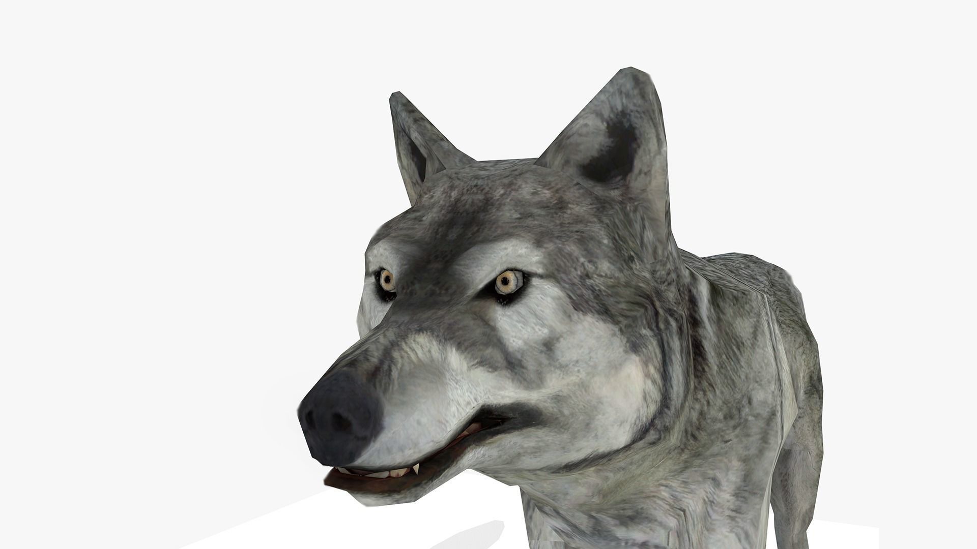 Wolf - Animated Low-poly 3D model_8