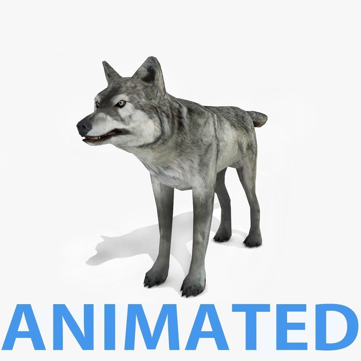 Wolf - Animated Low-poly 3D model_0
