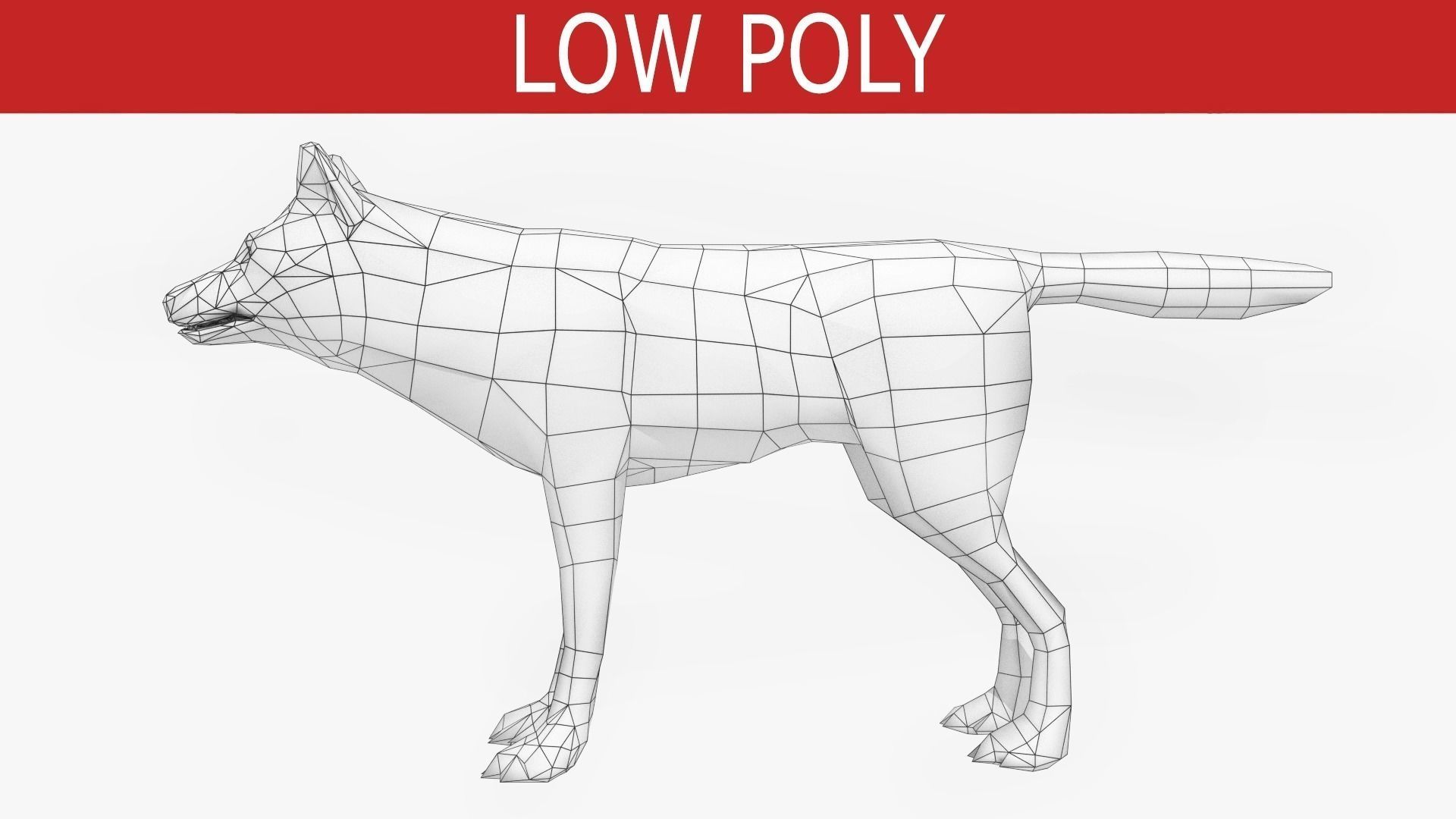 Wolf - Animated Low-poly 3D model_10