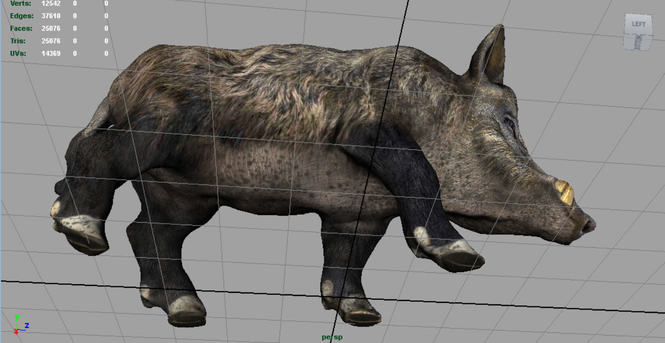 Wild Boar Low-poly 3D model_10