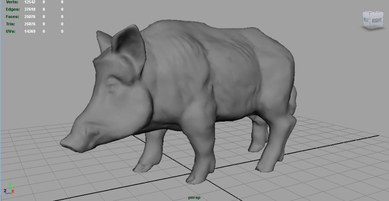 Wild Boar Low-poly 3D model_3