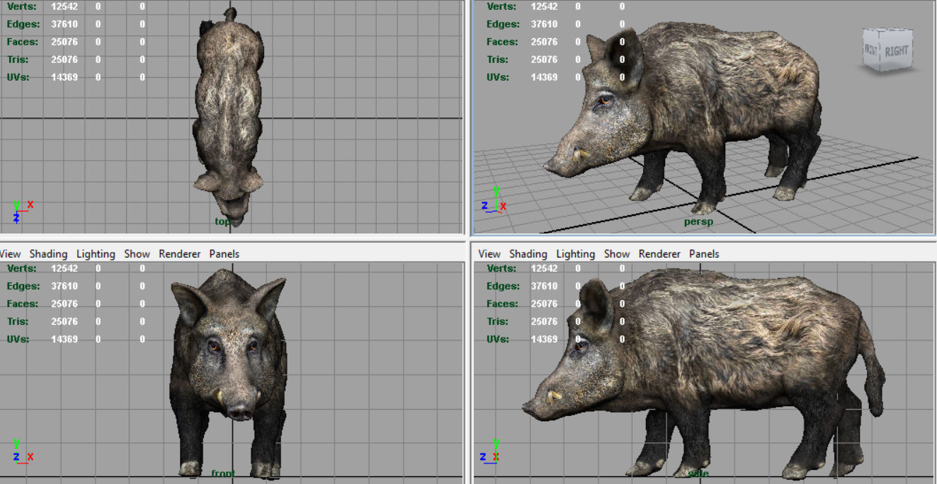 Wild Boar Low-poly 3D model_7