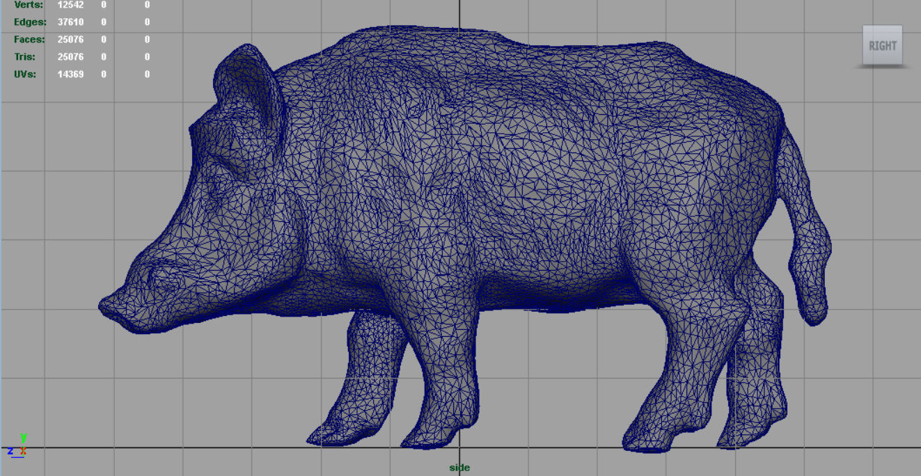 Wild Boar Low-poly 3D model_8