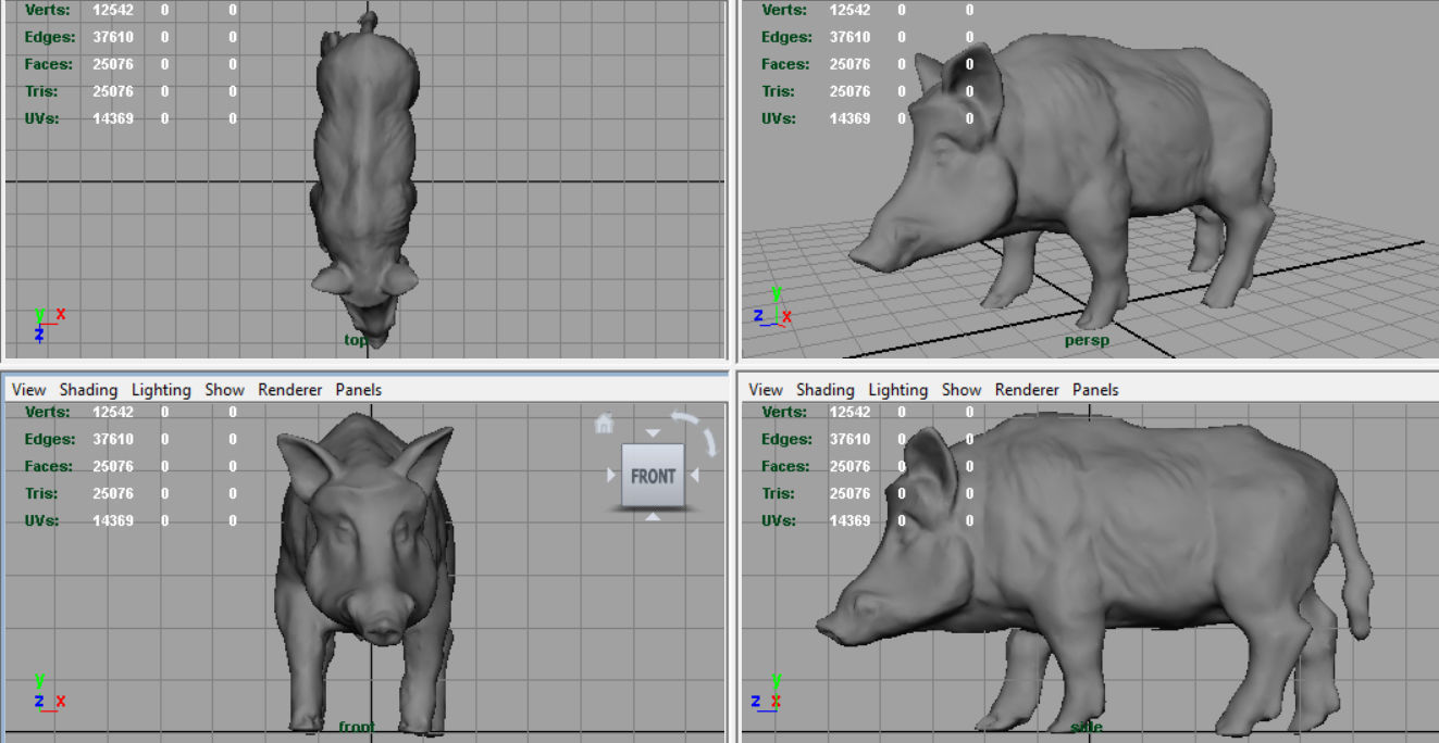 Wild Boar Low-poly 3D model_5