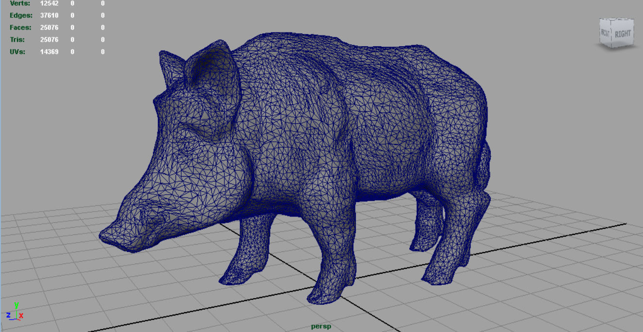 Wild Boar Low-poly 3D model_4