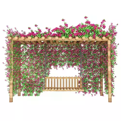 bougainvillea garden