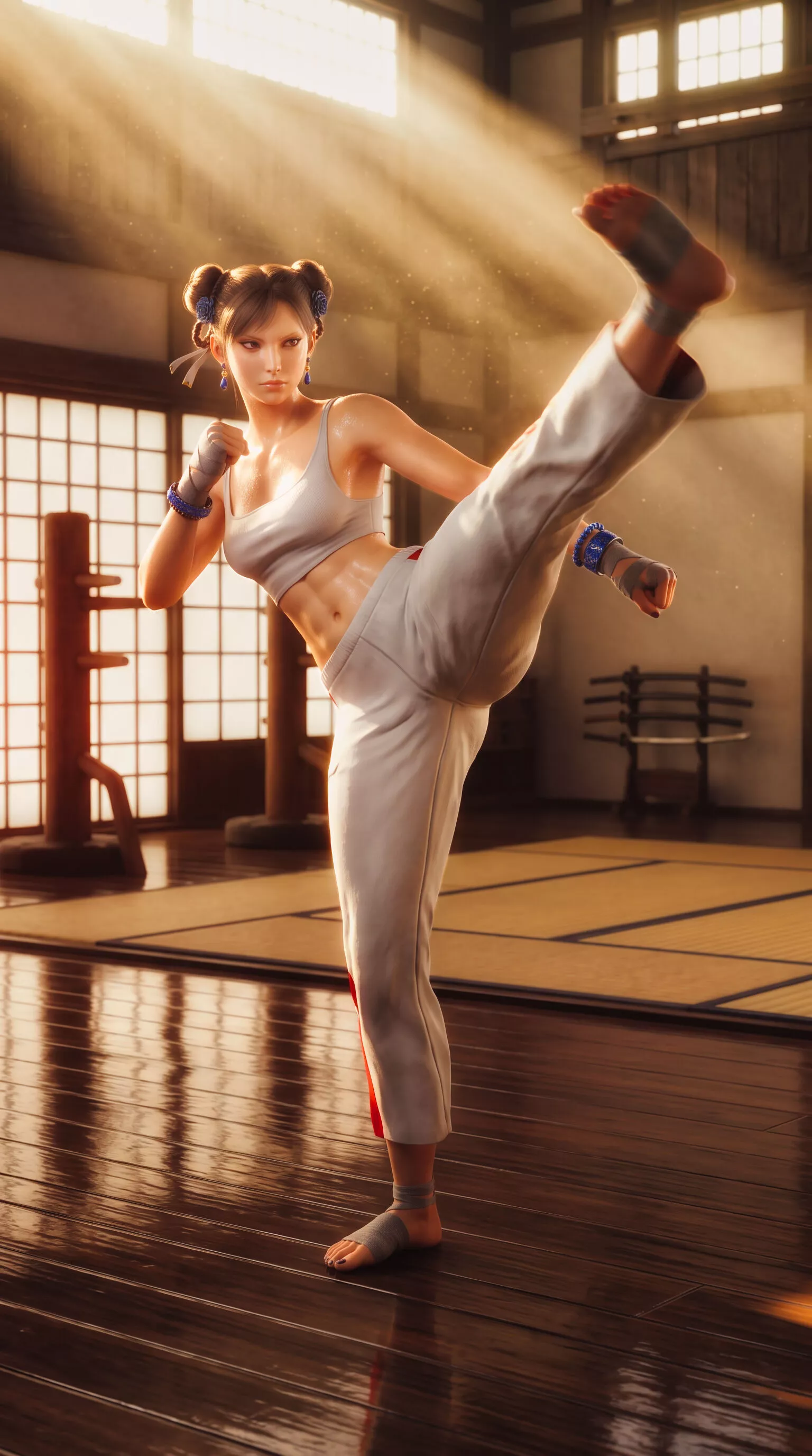 Chun-Li Training Protocol 3D model