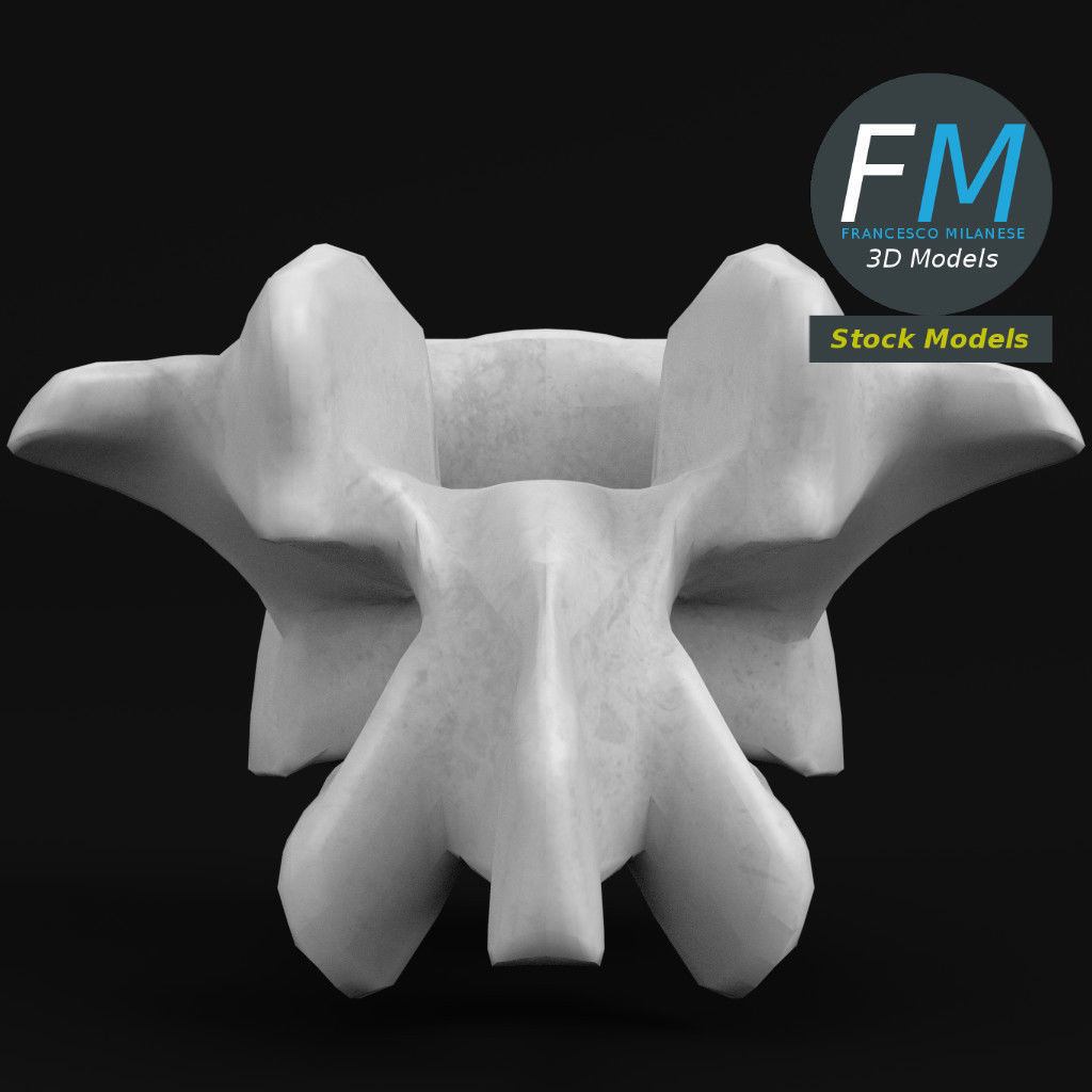 Anatomy - Lumbar vertebra 3D model_3