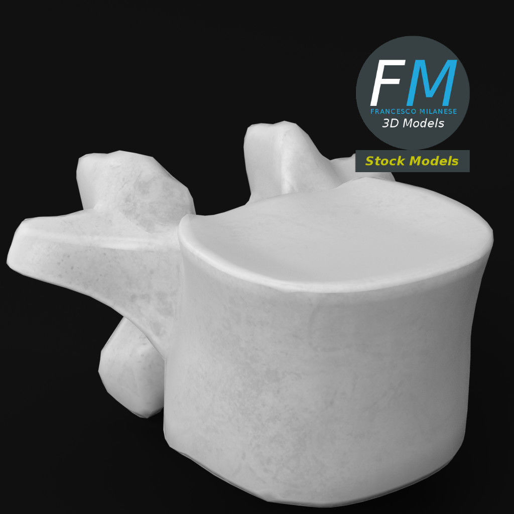 Anatomy - Lumbar vertebra 3D model_5
