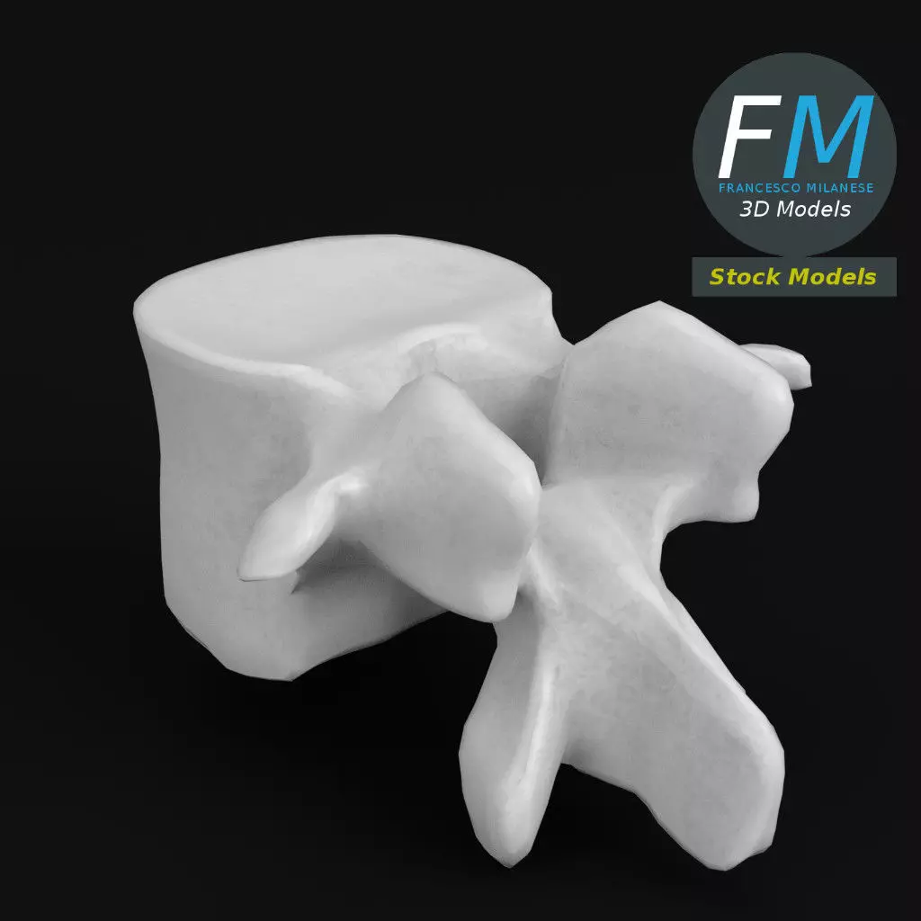 Anatomy - Lumbar vertebra 3D model_0