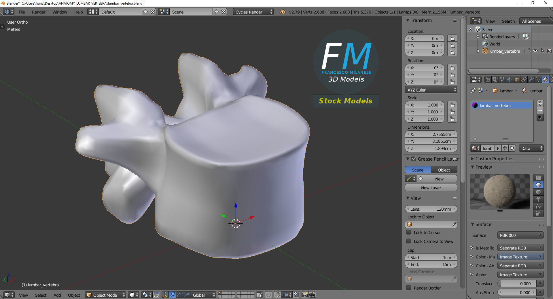 Anatomy - Lumbar vertebra 3D model_9