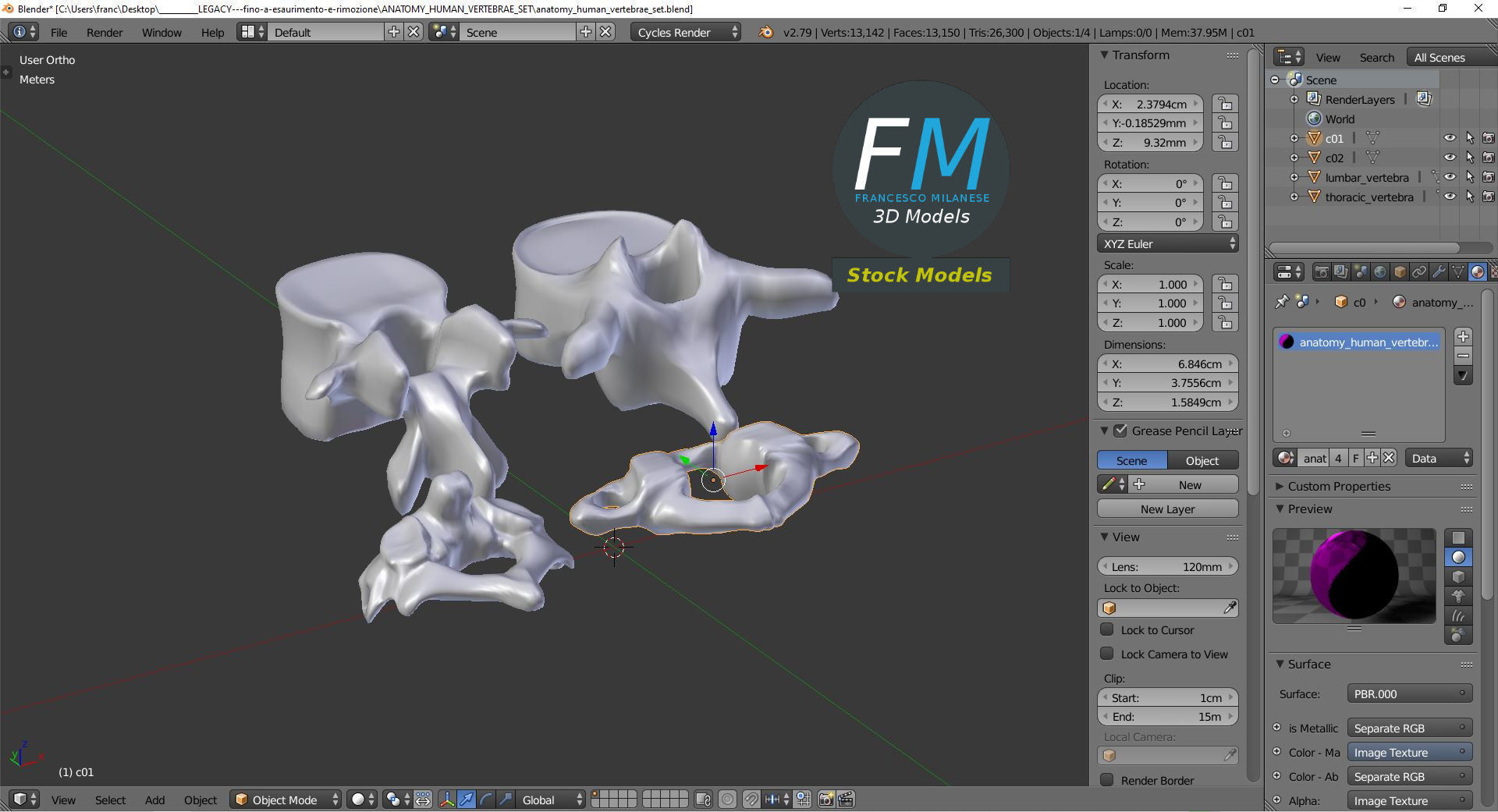 Anatomy - Human vertebrae set 3D model_9