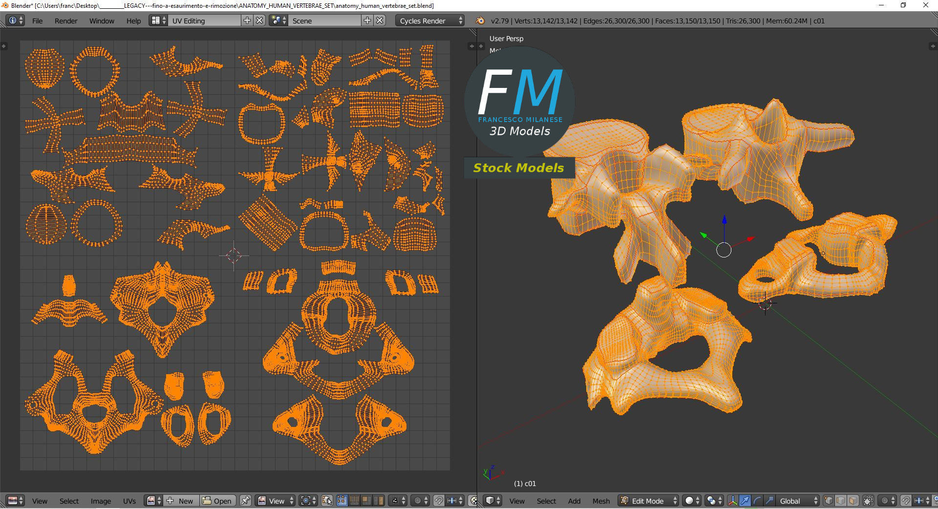 Anatomy - Human vertebrae set 3D model_10
