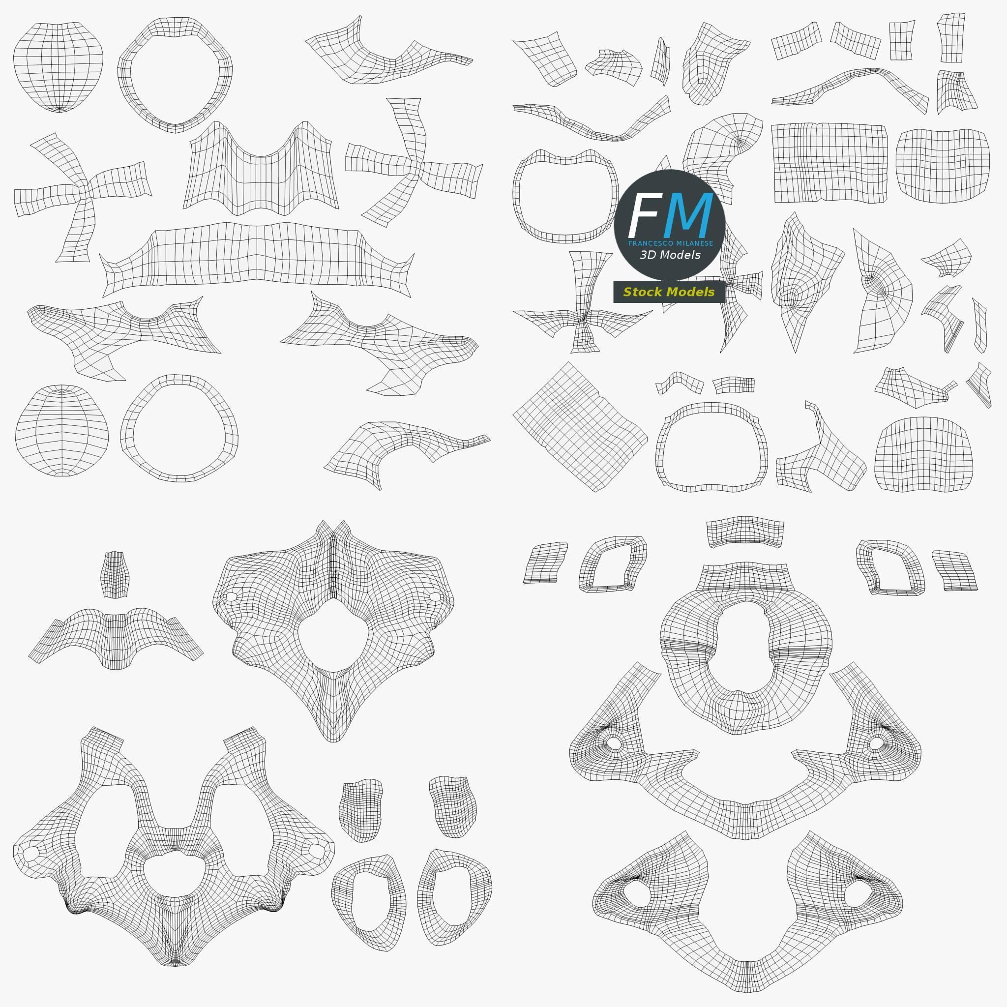 Anatomy - Human vertebrae set 3D model_11