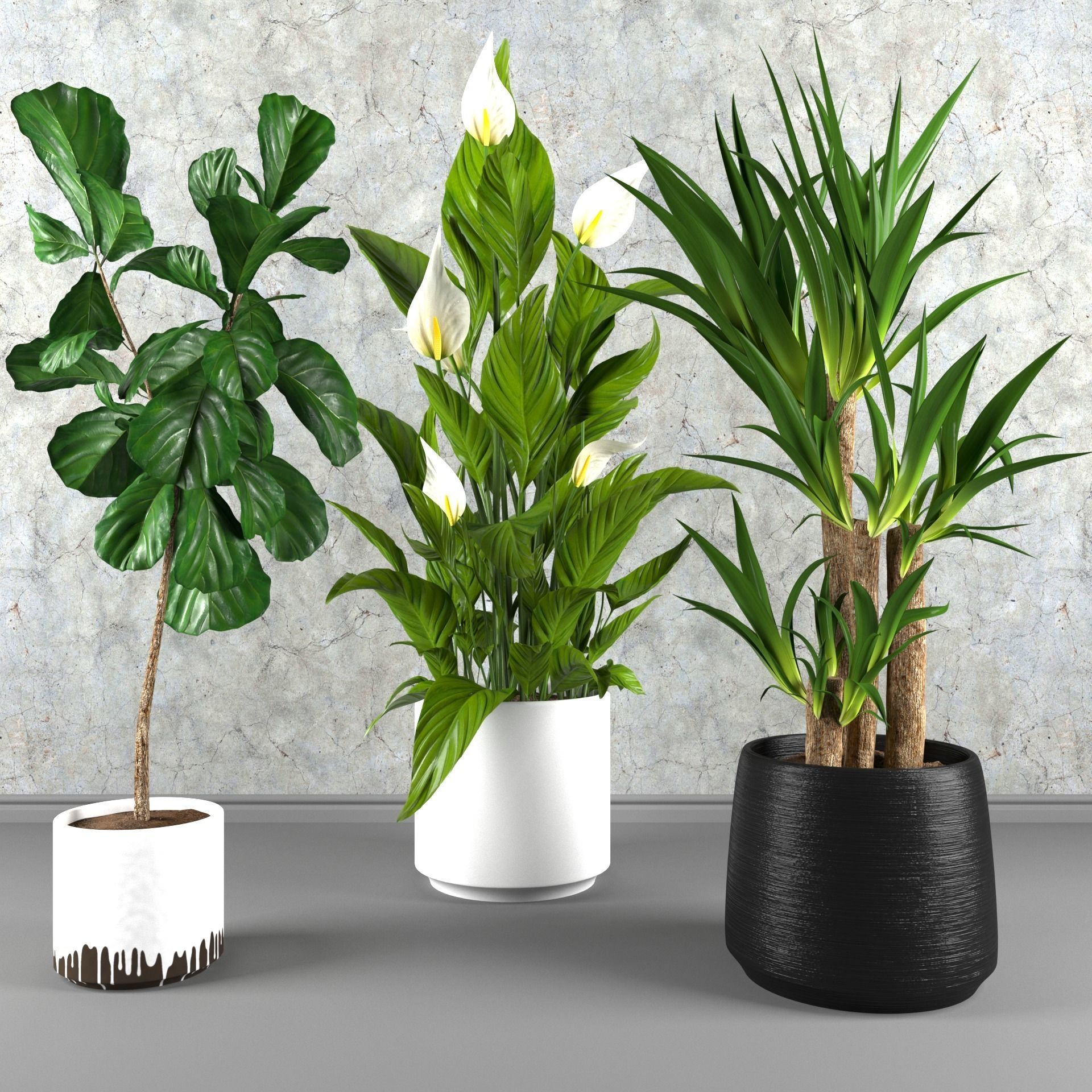 Contemporary house plant set 3D model_0