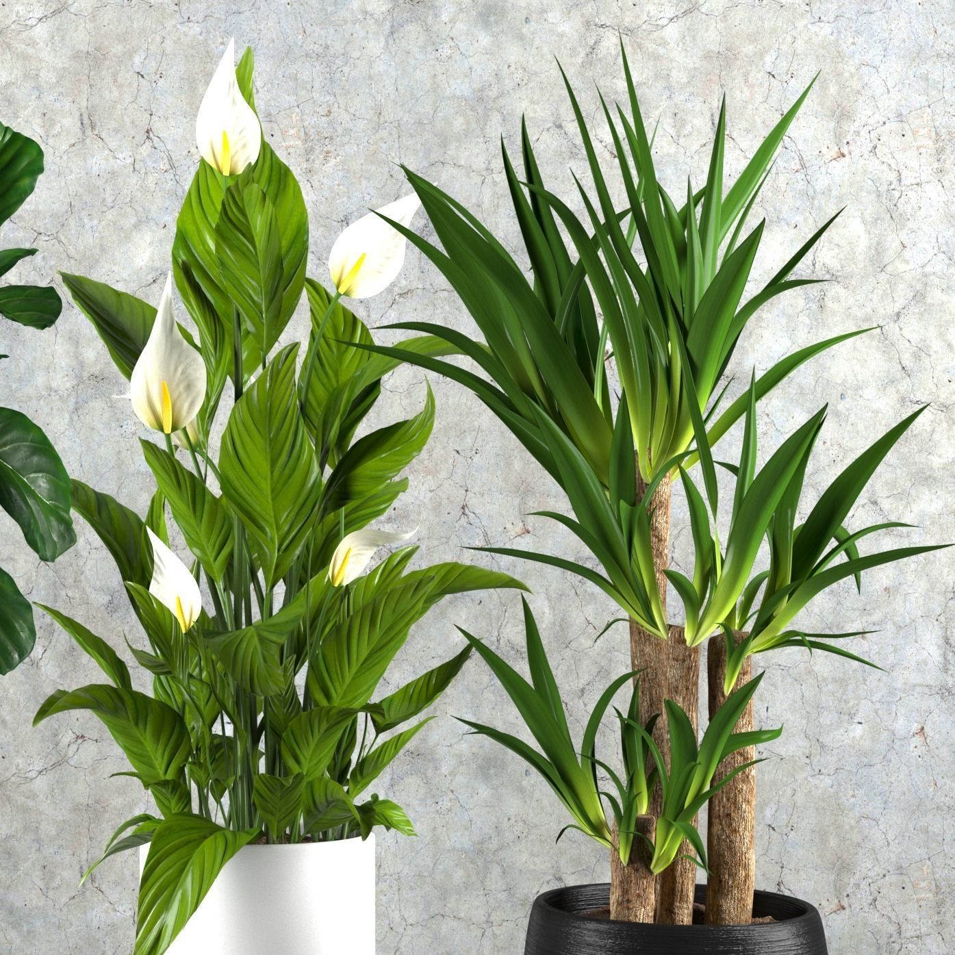 Contemporary house plant set 3D model_2