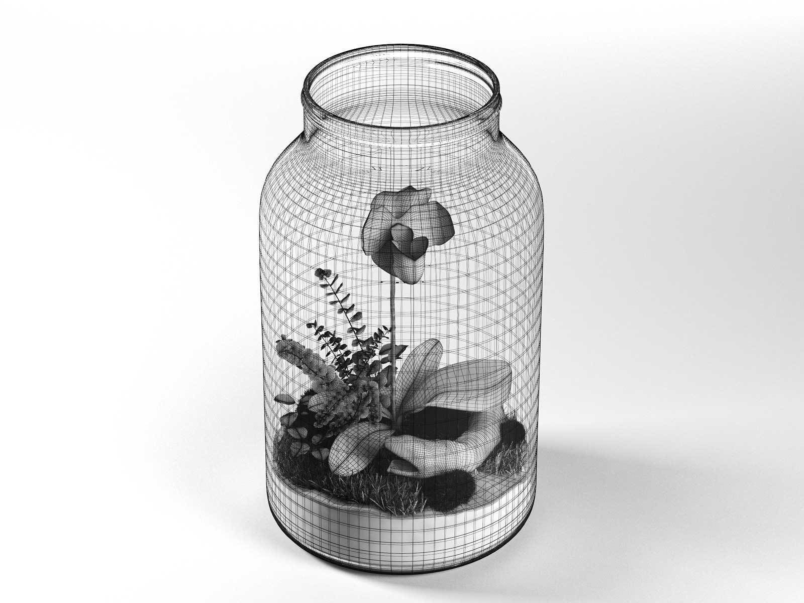 Byo Jar Terrarium 3D model_1