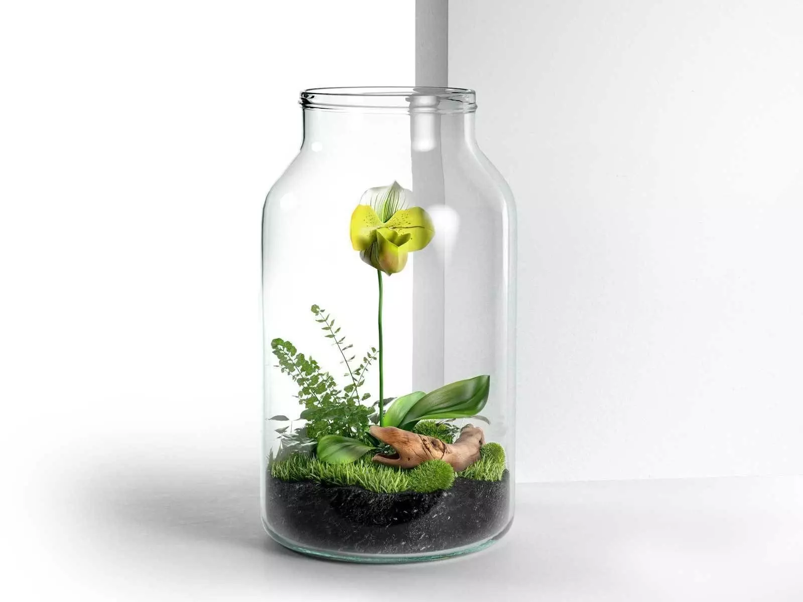 Byo Jar Terrarium 3D model_0