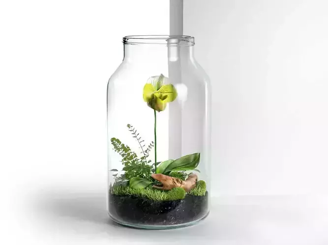 Byo Jar Terrarium 3D model