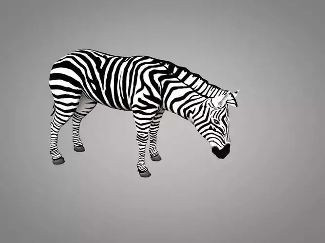 Zebra running Low-poly 3D model