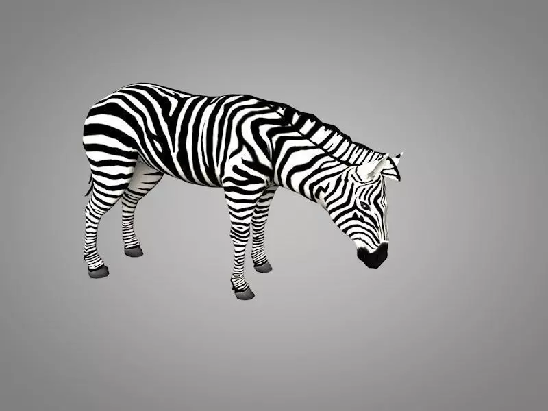 Zebra running Low-poly 3D model_0