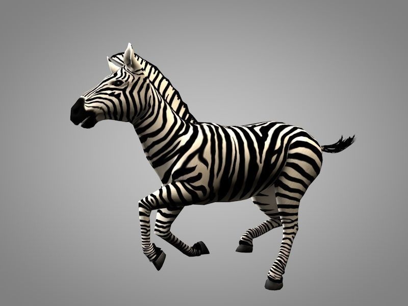 Zebra running Low-poly 3D model_1